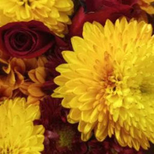 Meet your Posher, Rafif